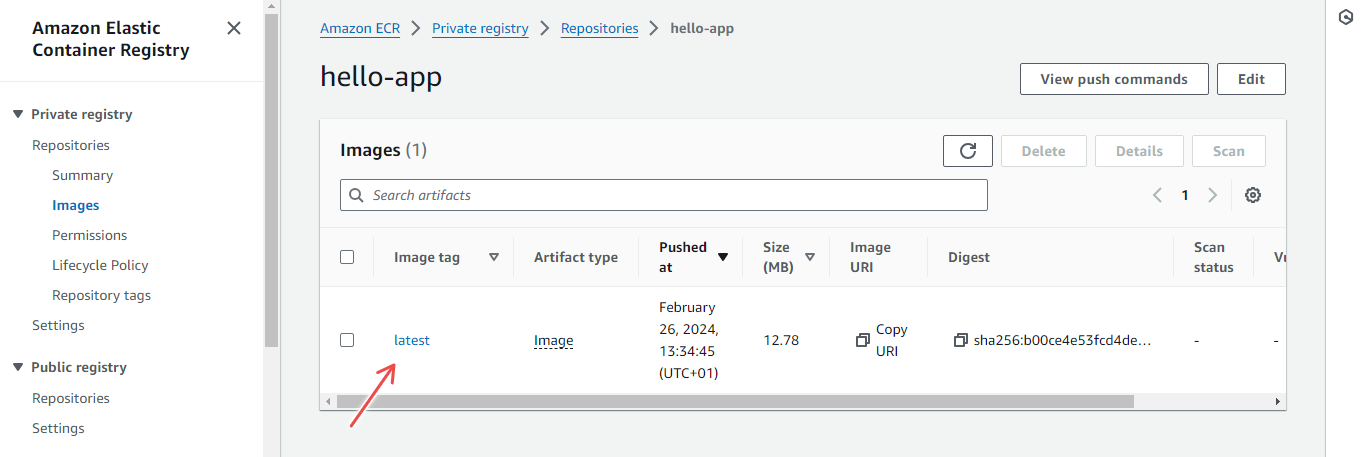 ECR Repository Image