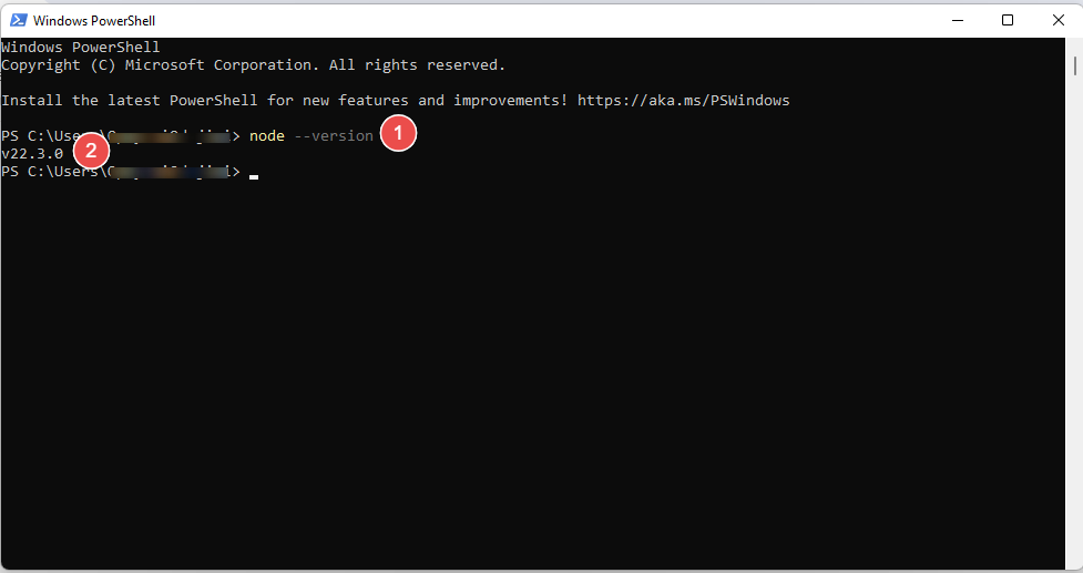 PowerShell Installation